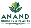 Anand Nursery